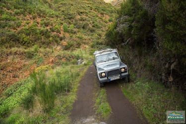 Tour in jeep di un’intera giornata da Funchal, incluse due passeggiate Levada